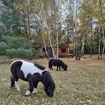 Zacisze Jurajskie Olsztyn (Silesia)