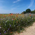 Zacisze Jurajskie