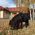 Villa Zacisze Jurajskie