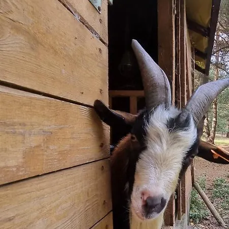 Zacisze Jurajskie Villa