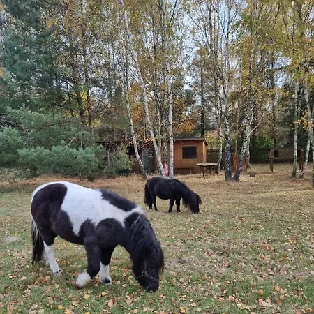 Zacisze Jurajskie Olsztyn