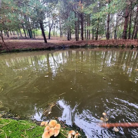 Zacisze Jurajskie * Olsztyn (Silesia)