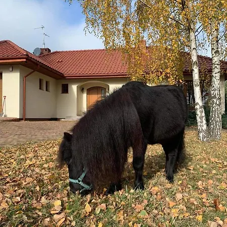 Villa Zacisze Jurajskie