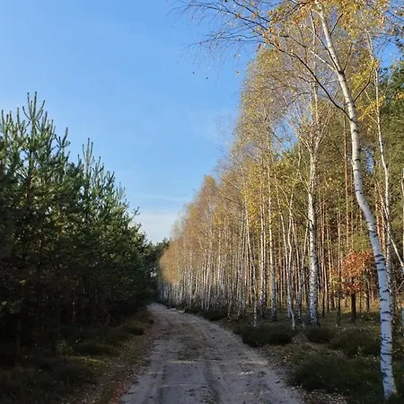 Zacisze Jurajskie *