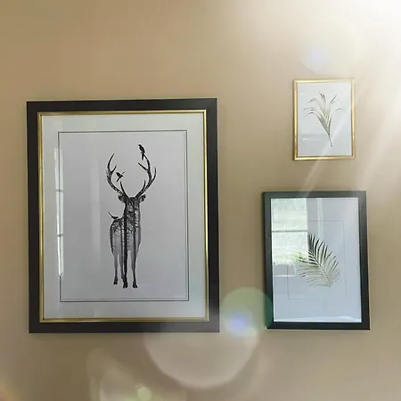 Villa Zacisze Jurajskie *