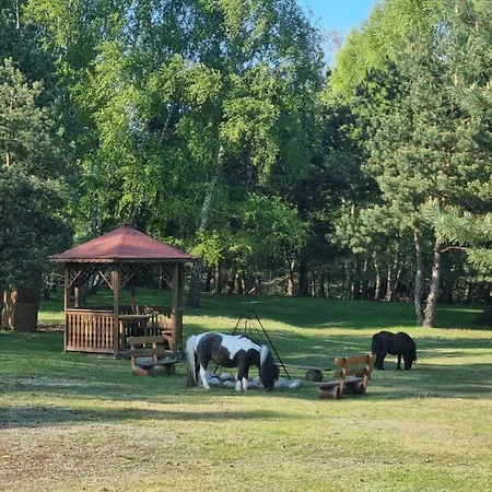 Zacisze Jurajskie