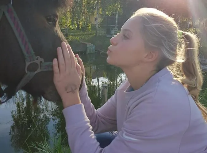 Villa Zacisze Jurajskie *