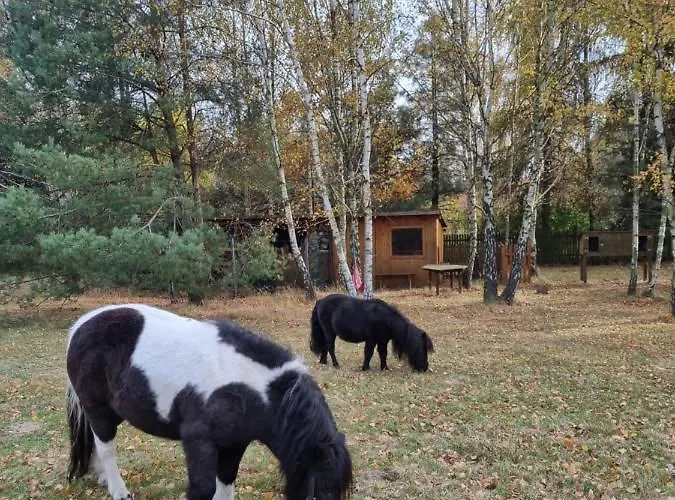 Zacisze Jurajskie Olsztyn (Silesia)