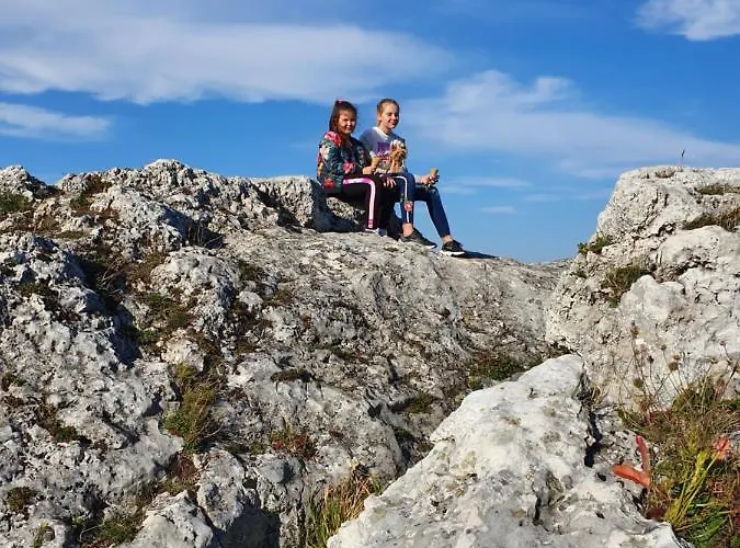 Villa Zacisze Jurajskie *