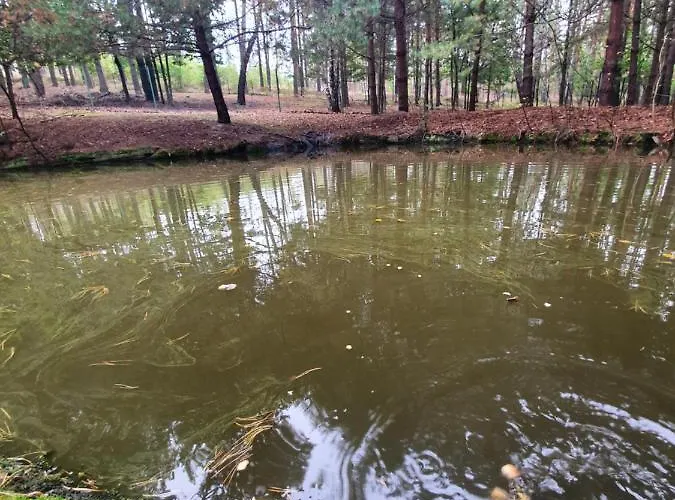 Zacisze Jurajskie * Olsztyn (Silesia)