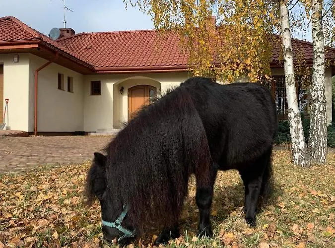 Villa Zacisze Jurajskie