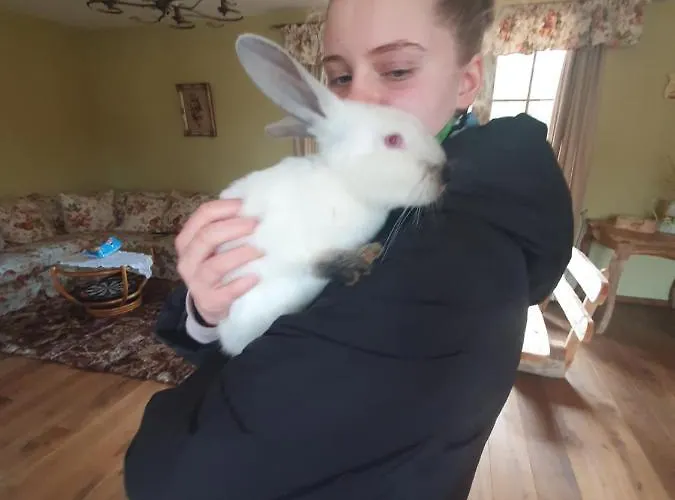 Villa Zacisze Jurajskie *