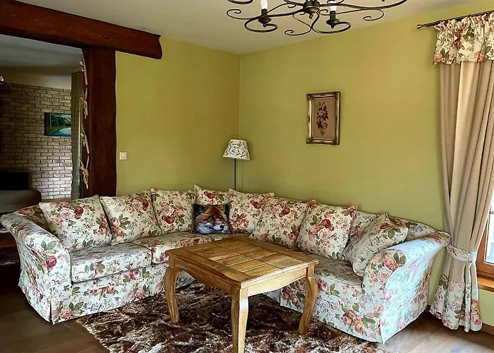 Villa Zacisze Jurajskie Olsztyn (Silesia)